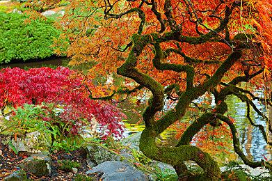 厂商将为大热RPG《光与影：33号远征队》推出收藏版